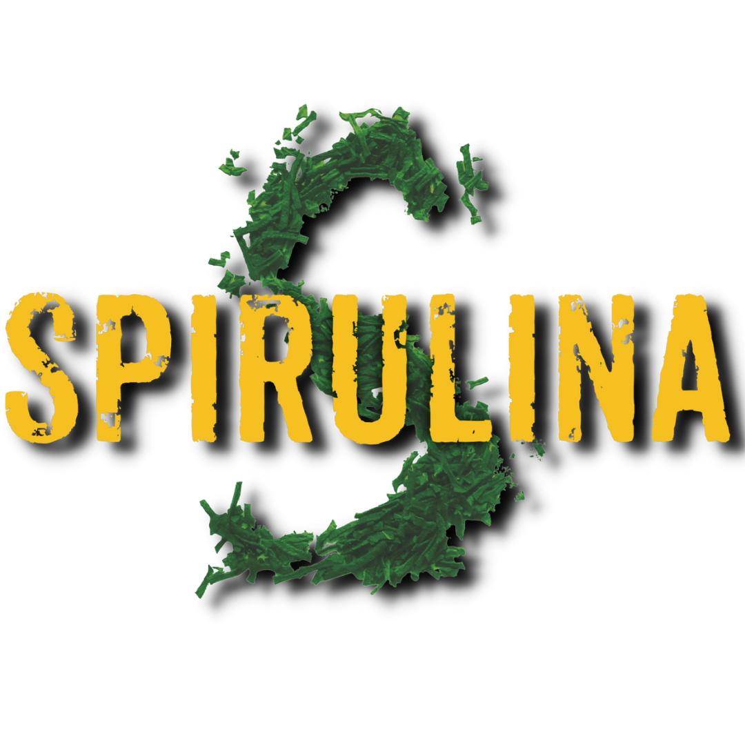 Spirulina Farm