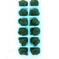 Spirulina Viva 100 gr